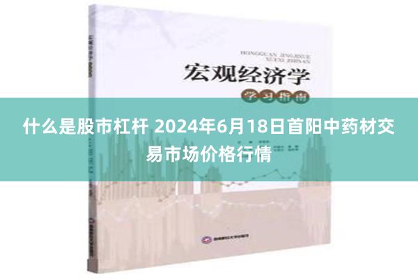 什么是股市杠杆 2024年6月18日首阳中药材交易市场价格行情