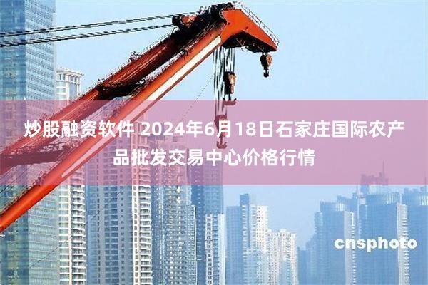 炒股融资软件 2024年6月18日石家庄国际农产品批发交易中心价格行情