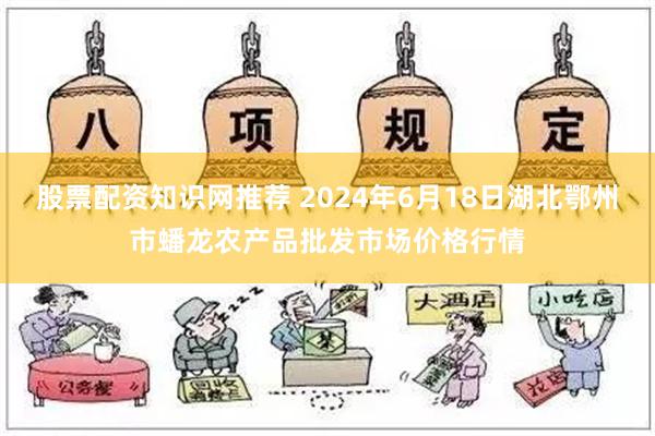 股票配资知识网推荐 2024年6月18日湖北鄂州市蟠龙农产品批发市场价格行情