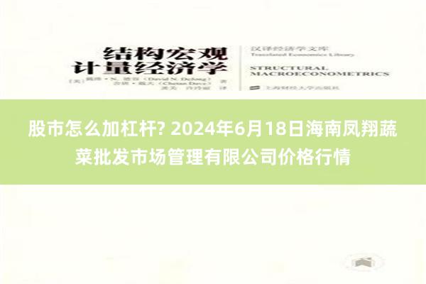 股市怎么加杠杆? 2024年6月18日海南凤翔蔬菜批发市场管理有限公司价格行情