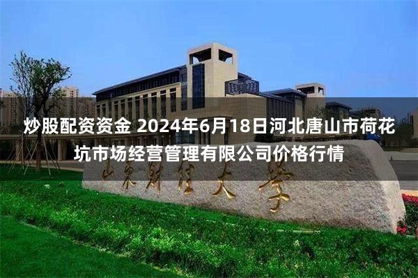 炒股配资资金 2024年6月18日河北唐山市荷花坑市场经营管理有限公司价格行情