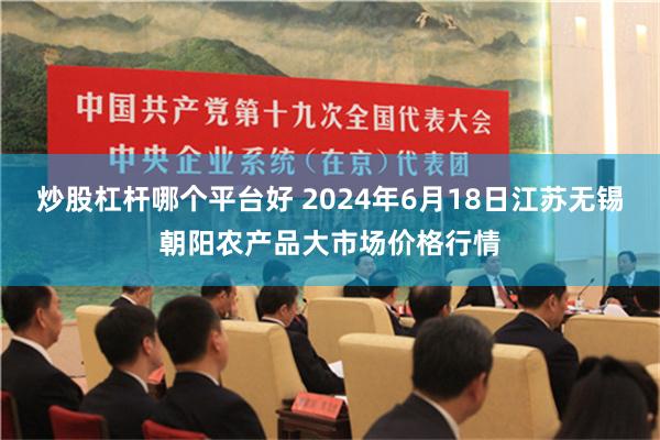 炒股杠杆哪个平台好 2024年6月18日江苏无锡朝阳农产品大市场价格行情