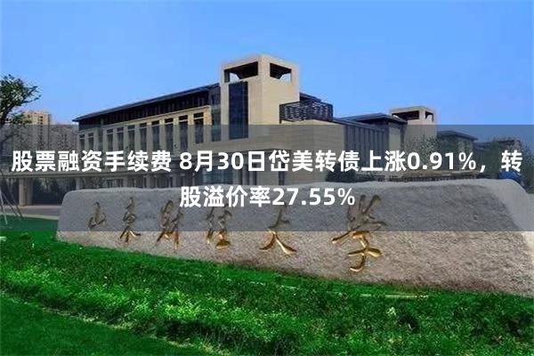 股票融资手续费 8月30日岱美转债上涨0.91%，转股溢价率27.55%