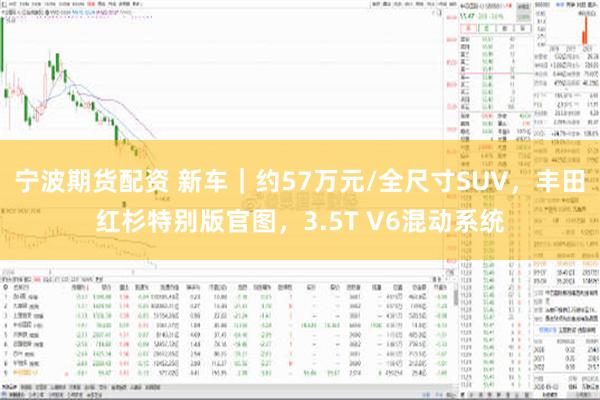 宁波期货配资 新车｜约57万元/全尺寸SUV，丰田红杉特别版官图，3.5T V6混动系统