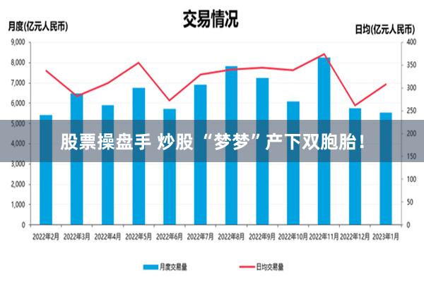 股票操盘手 炒股 “梦梦”产下双胞胎！