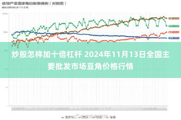 炒股怎样加十倍杠杆 2024年11月13日全国主要批发市场豆角价格行情