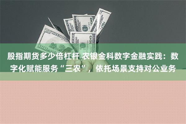 股指期货多少倍杠杆 农银金科数字金融实践：数字化赋能服务“三农”，依托场景支持对公业务