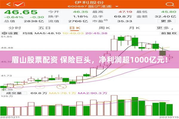 眉山股票配资 保险巨头，净利润超1000亿元！